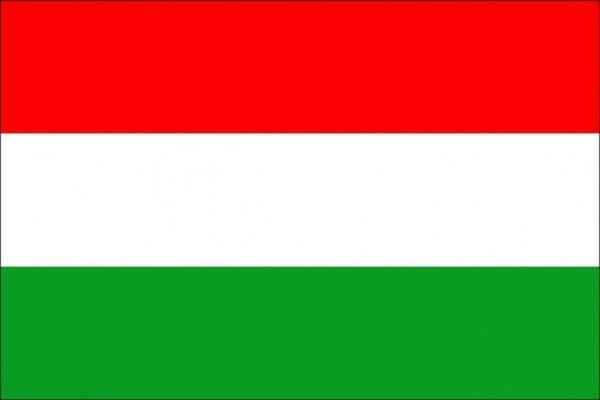 <p><b>MACARSTAN </b></p>    <br>Recep Tayyip Erdoan: 52,57 % - 143</br>  <br>Ekmeleddin Mehmet hsanolu: 35,29 % - 96 </br>  <br>Selahattin Demirta: 12,13 % - 33</br>