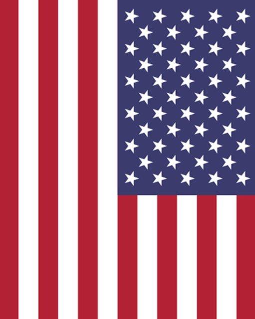 <p><b>AMERKA BRLEK DEVLETLER </b></p>    <br>Recep Tayyip Erdoan: 18,40 % - 1.379 </br>  <br>Ekmeleddin Mehmet hsanolu: 90,55 % - 6.785 </br>  <br>Selahattin Demirta: 7,21% - 540</br>