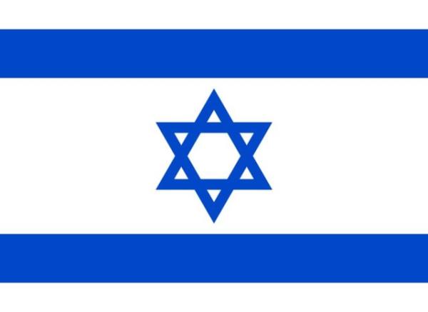 <p><b>SRAL </b></p>    <br>Recep Tayyip Erdoan: 31,87 % - 29</br>  <br>Ekmeleddin Mehmet hsanolu: 58,24 % - 53</br>  <br>Selahattin Demirta: 9,89% - 9</br>