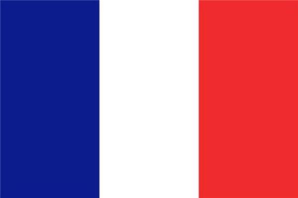 <p><b>FRANSA </b></p>    <br>Recep Tayyip Erdoan:66,74 % - 8.543 </br>  <br>Ekmeleddin Mehmet hsanolu: 19,40 % - 2.483</br>  <br>Selahattin Demirta: 19,00% - 2.432</br>