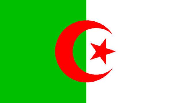 <p><b>CEZAYR </b></p>    <br>Recep Tayyip Erdoan: 42,41 % - 123 </br>  <br>Ekmeleddin Mehmet hsanolu: 37,59 % - 109 </br>  <br>Selahattin Demirta: 20,00% - 58</br>