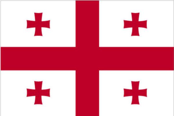 <p><b>GRCSTAN </b></p>    <br>Recep Tayyip Erdoan: 46,51 % 100 </br>  <br>Ekmeleddin Mehmet hsanolu: 48,37 % - 104</br>  <br>Selahattin Demirta: 5,12% - 11</br>