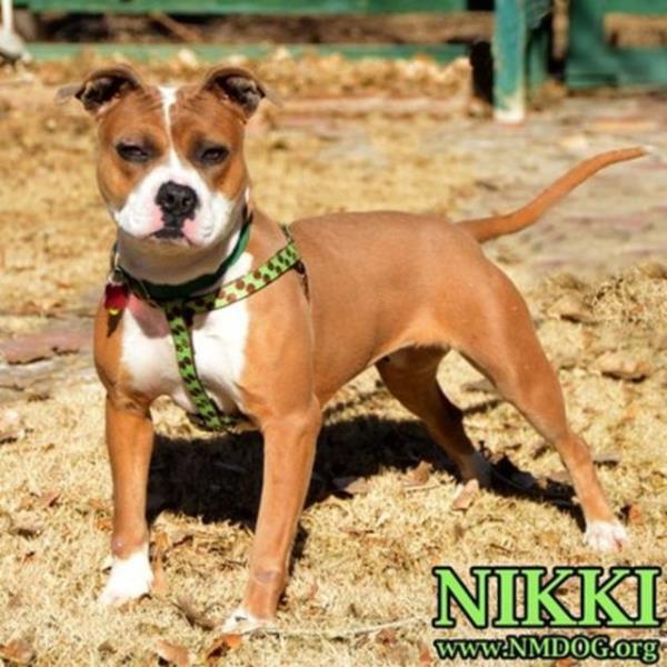 imdi yeni ailesinin en sadk ve sevgi dolu yesi