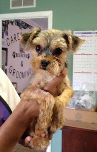 Boo - yeni ailesiyle yeni yuvasnda