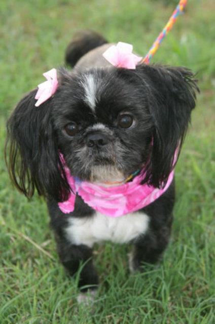 Arlene - yeni evinde