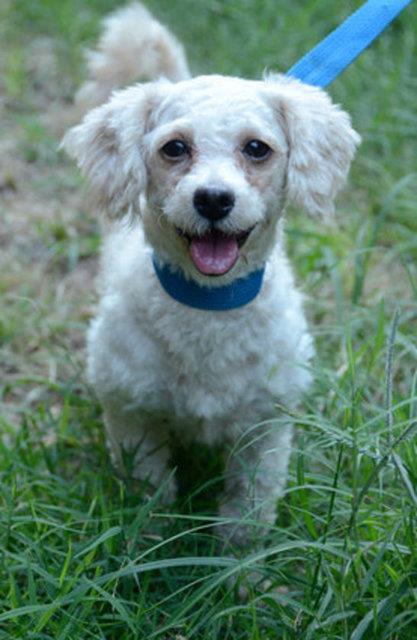 imdi hayata yeniden tutunmann sevinci her halinden belli oluyor...