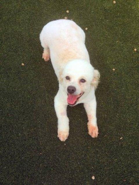 Texas Tornado - yeni ailesiyle