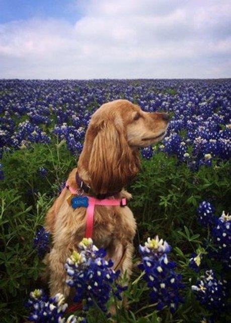 imdi hayata yeniden tutunmann keyfini sryor