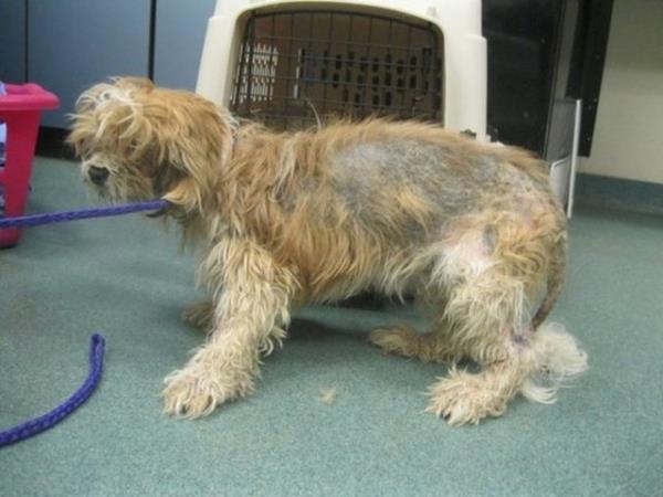 Uno - barnaa terk edildiinde ar tarvma yaamt