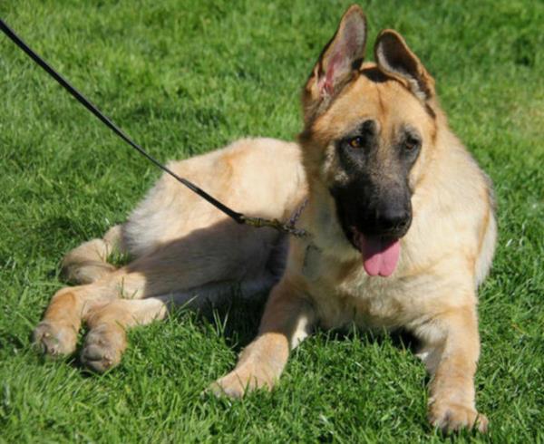 imdi yeni ailesinin en mark yesi