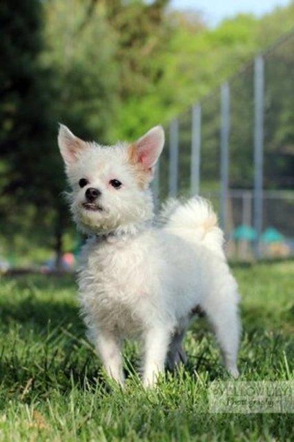 Jackman - yeni ailesiyle