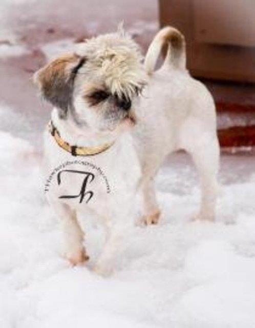 Oscar - yeni ailesiyle