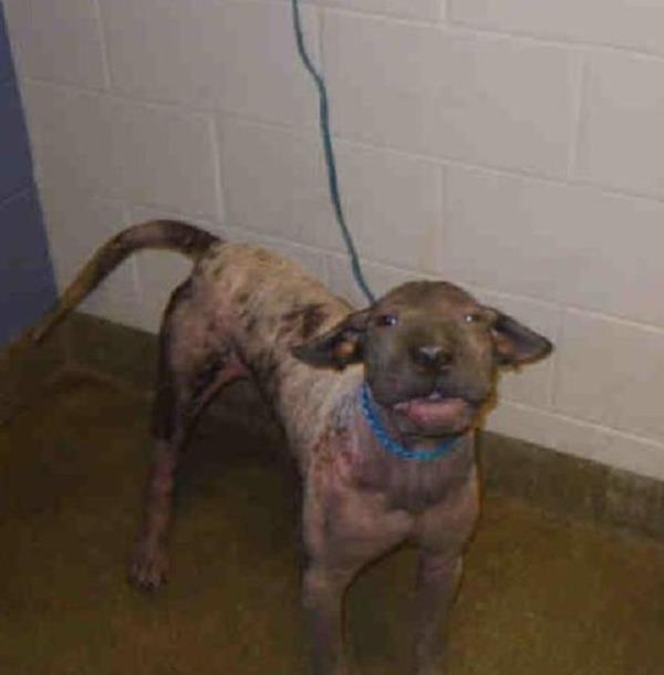 George - barnakta kstl koullar altnda bakmsz kalmt