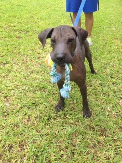 George - yeni evinde yakkl bir delikanl oldu