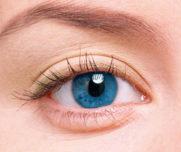 Aratrmaclar, diziyi izleyen katlmclarn beynini MR ile grntledi.