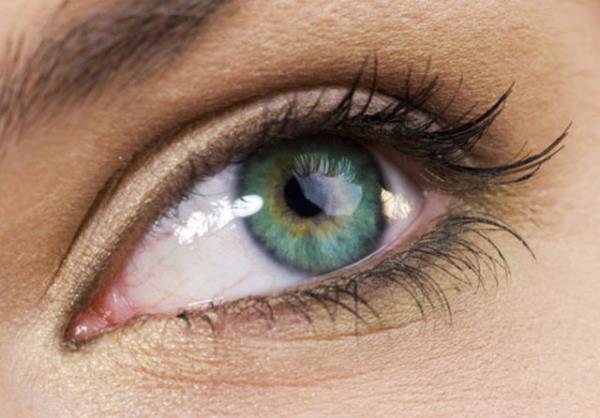 Aratrmaclar bu sonularn gz krpmann, ok ksa sre, bilgi akn daha iyi kontrol etmek ve bir sonraki bilgiye daha iyi hazrlanmak iin beyne gnderilen bir sinyal olduu sonucuna vard.