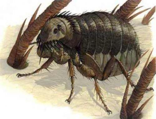 Yavak : Bit ya da pire yavrusuna yavak denirmi.