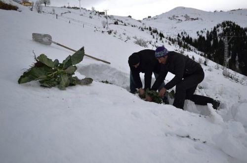 r : Kar zerinde alan kei yoluna deniyormu diye duyduk, kimileri de n ardndan karn zerinde alan yola denildiini sylyor. r amak her halkarda nemli bir i.