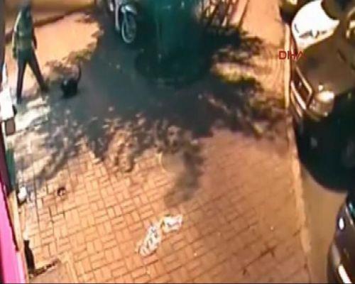 <p><b>HAYVAN KATL CNAYET LERKEN GRNTLEND </b></p>  Kaytlar getiimiz pazar gnne ait. Saat 03.00 sralar. Kadn m erkek mi olduu anlalmayan tuhaf giyimli bir kii anne kedi ve yavrularna ikence yapyor. Yaanan vaheti anlatacak kelime yok.