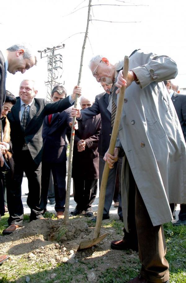Glck Beiktallar Derne, Beikta'n kurucularndan Ahmet Fetgeri Aseni adna alan parka fidan dikti.  05/04/2005