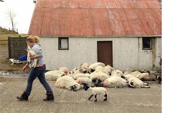 <p><b>6. rlanda</b></p>  sizlik oran: Yzde 13,6