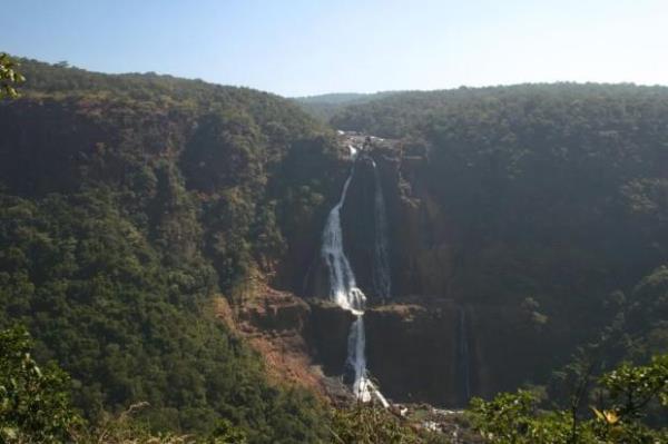 Barehipani elalesi, Hindistan