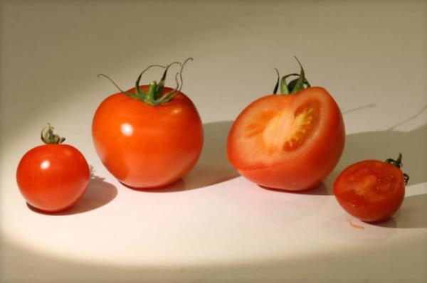 B6, K ve E vitaminleri asndan zengin olan domateste folat, lif ve potasyum bulunuyor. Bu krmz sebzelerin ieriindeki antioksidan olan likopen ise baz kanser trleriyle savayor, kardiyovaskler sal destekliyor ve kan phtlamasna kar ise sizi koruyor.