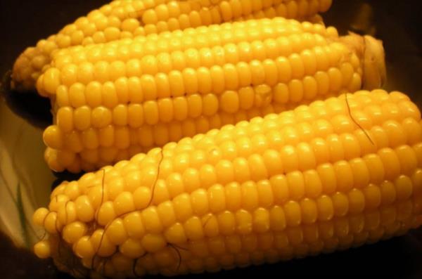 Suda halayp yiyebileceiniz gibi, mangal yaparken atein zerine msrlar da yerletirin ve zgarada msrn keyfini karn. Salatalarnza ekleyebilirsiniz.