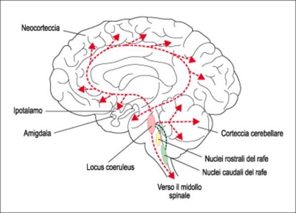 Karabasann nedenlerine gelecek olursak bunun birden fazla nedeni bulunuyor