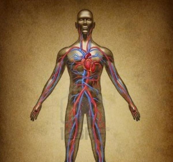 Dier yandan karabasan vakas sk sk bana gelen kiinin uyku saati biliniyor ve uyanmadan hemen nce karabasan vakas bana geliyorsa