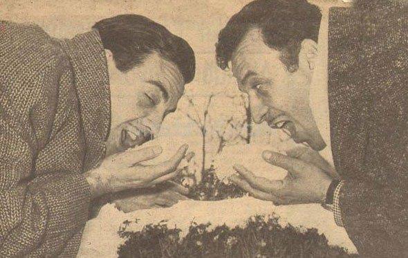 <p>Resimler 1964 tarihli Perde dergisinden. ki iyi dost olan Sadri Alk ve Ayhan Ik Kadky'de bir film setinde beraber alrlarken verilen arada baheye kp kartopu oynuyorlar?</p>  <b>Ayhan Ik :</b> "imiz dndada ok zaman beraber oluruz.Hanmlarmzda birbirlerini tanr ,grrler. En byk zevkim, Sadri'yi tavlada mars etmektir."     <p><b>Sadri Alk :</b> "Genellikle filmlerdede tavla konusundada onunla atyoruz. Filmlerde jn olduu iin o beni alt ediyor ama hncm tavlada alyorum. nk tavlada ,kamera karsnda olduu kadar usta bir oyuncu deil Ayhan?."</p>