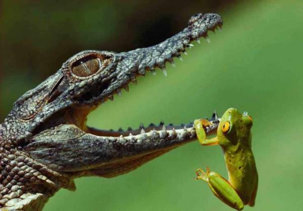 National Geographic arivinden muhteem fotoraflar...