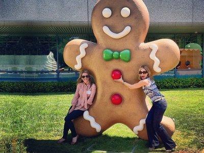 <br><b>Kullanc Arayz Tasarlaycs</b></br>  <br>Maa: 107,534 dolar</br>    <p>Bu tasarmclarn amac btn Google'n bir internet sitesi olarak dzgn bir arayzle grnmesini salamak.</p>