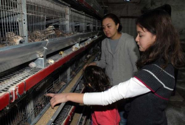 eitli hastalklarn tedavisinde kullanlyor.