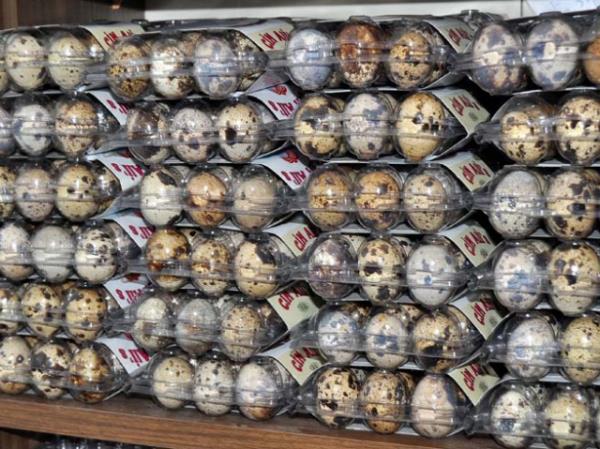 eitli hastalklarn tedavisinde kullanlyor.