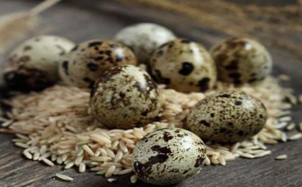 eitli hastalklarn tedavisinde kullanlyor.