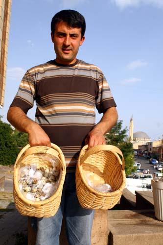 eitli hastalklarn tedavisinde kullanlyor.