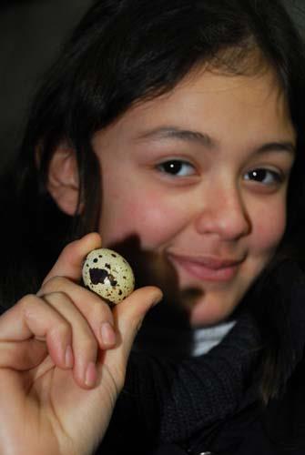 eitli hastalklarn tedavisinde kullanlyor.