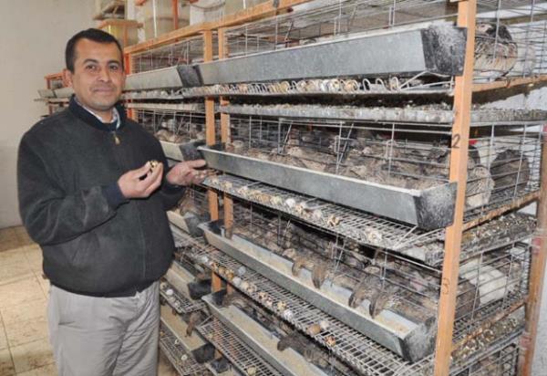 eitli hastalklarn tedavisinde kullanlyor.