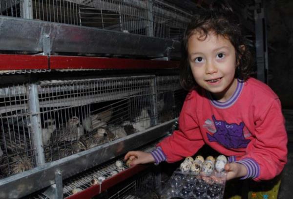 eitli hastalklarn tedavisinde kullanlyor.