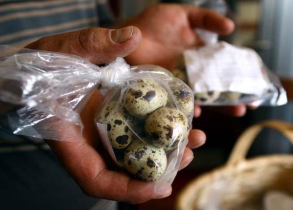 eitli hastalklarn tedavisinde kullanlyor.