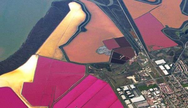 <br><b>KIRMIZI GLLER-ABD</b></br>  ABD'nin San Francisco kentinde bulunan bu youn tuzlu gletler gl yosun oluumu nedeniyle krmzya dnyor. Bu da muhteem bir doa olayna neden oluyor. Avustralya'daki Hiller Gl iin de benzer durum sz konusudur.