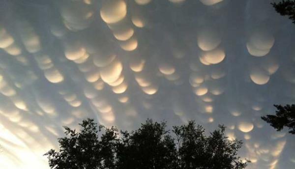 <br><b>MAMMATUS BULUTLARI</b></br>  Bu srad bulutlar kk yamur keseciklerinin ve buz formunun byk yamur bulutlar altna tutunmasyla oluur.