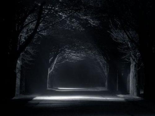 Karanlktan korkmak, yksek IQ belirtilerinden biridir.