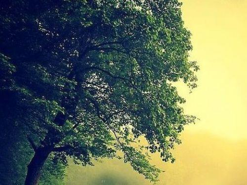 nsann sadece 'La ilahe illallah' derken duda kprdamaz.