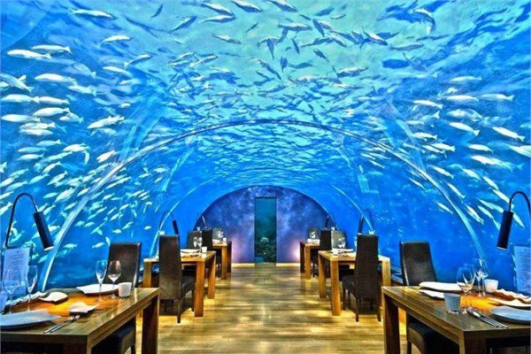 <br><b>Ithaa Undersea Restaurant ? Rangali Adas, Maldivler</b></br>  Denizin iinde 5 metre derinlikte bulunan restoranda camdan duvarlar sayesinde deniz dalgalarn, balklar, mercanlar, kpekbalklarn ve daha birok deniz canlsn izlemek mmkn.