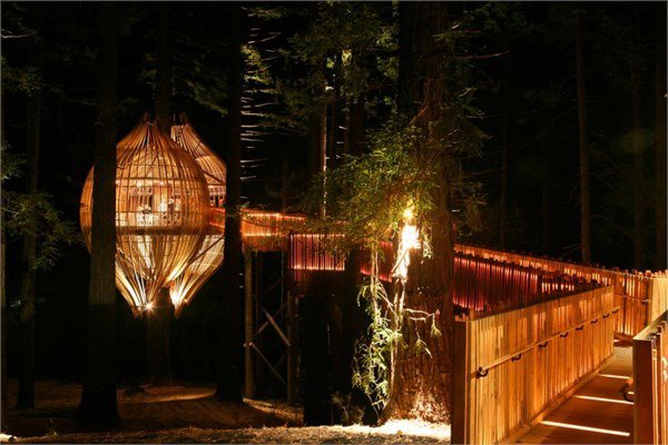 <br><b>Treehouse Restaurant ? Yeni Zelanda</b></br>  Aa evlerde harika bir n geirmek iin Yeni Zelanda'daki Treehouse hizmetinizde. Bu deneyimi esiz klan, aalarn iinda yerden 10 metre yksekte ve orman manzarasyla keyifli bir n geirmeniz.