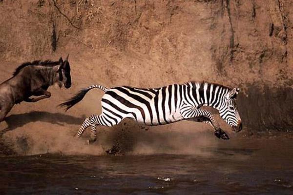 Vahi yaamdan kareler