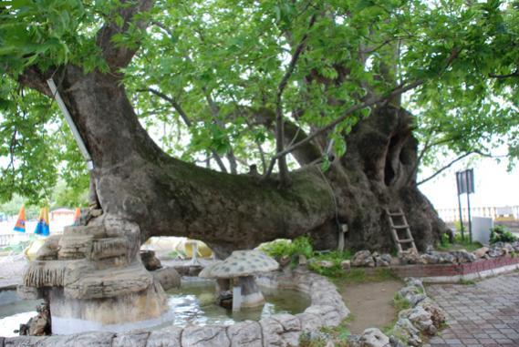 Ve Glyaz kyne gittiinizde Alayan nara uramay unutmayn.