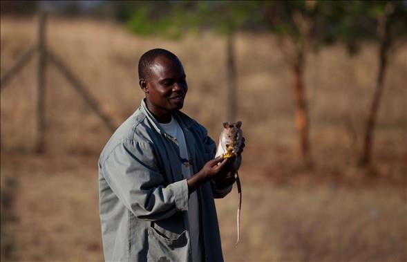 Bakclar ile arkada gibiler